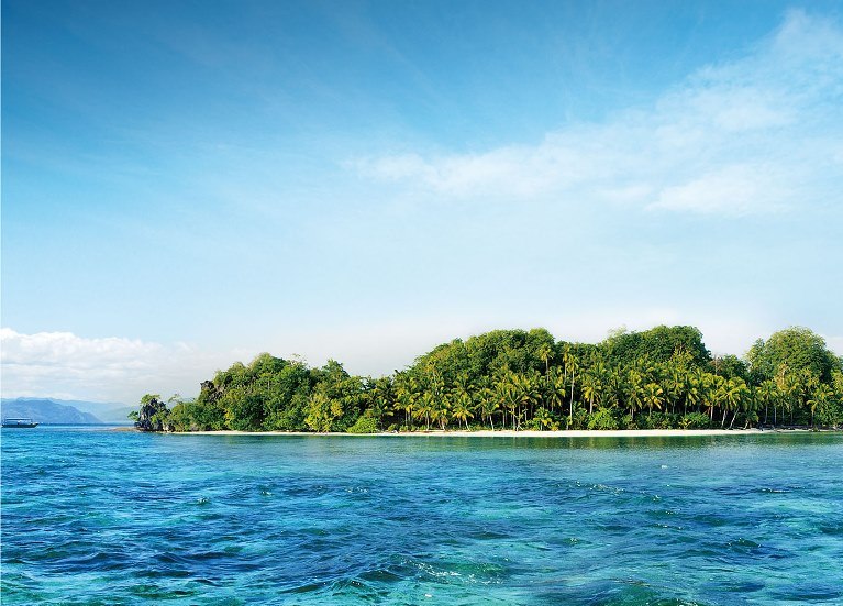 一定发(中国游)官方网站