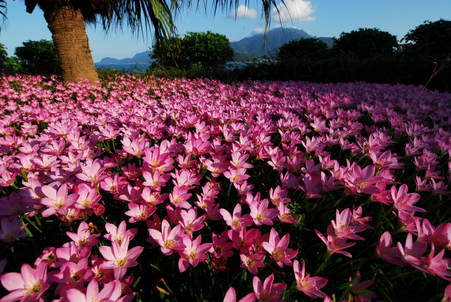 一定发(中国游)官方网站