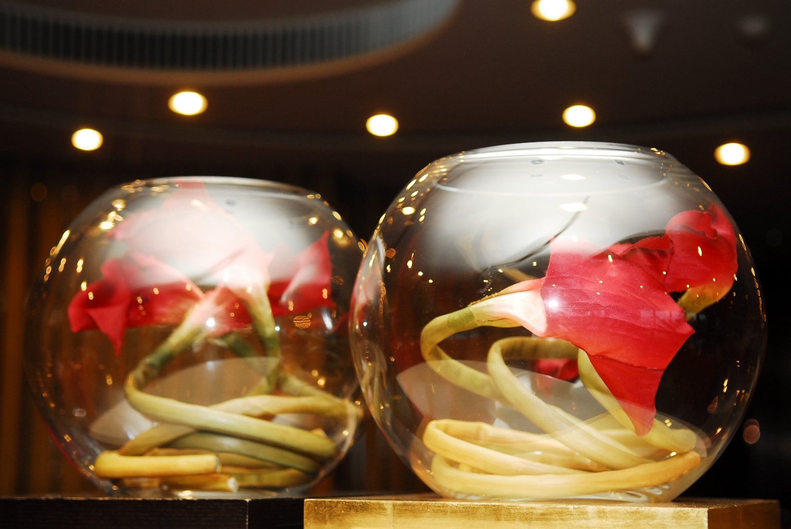 一定发(中国游)官方网站