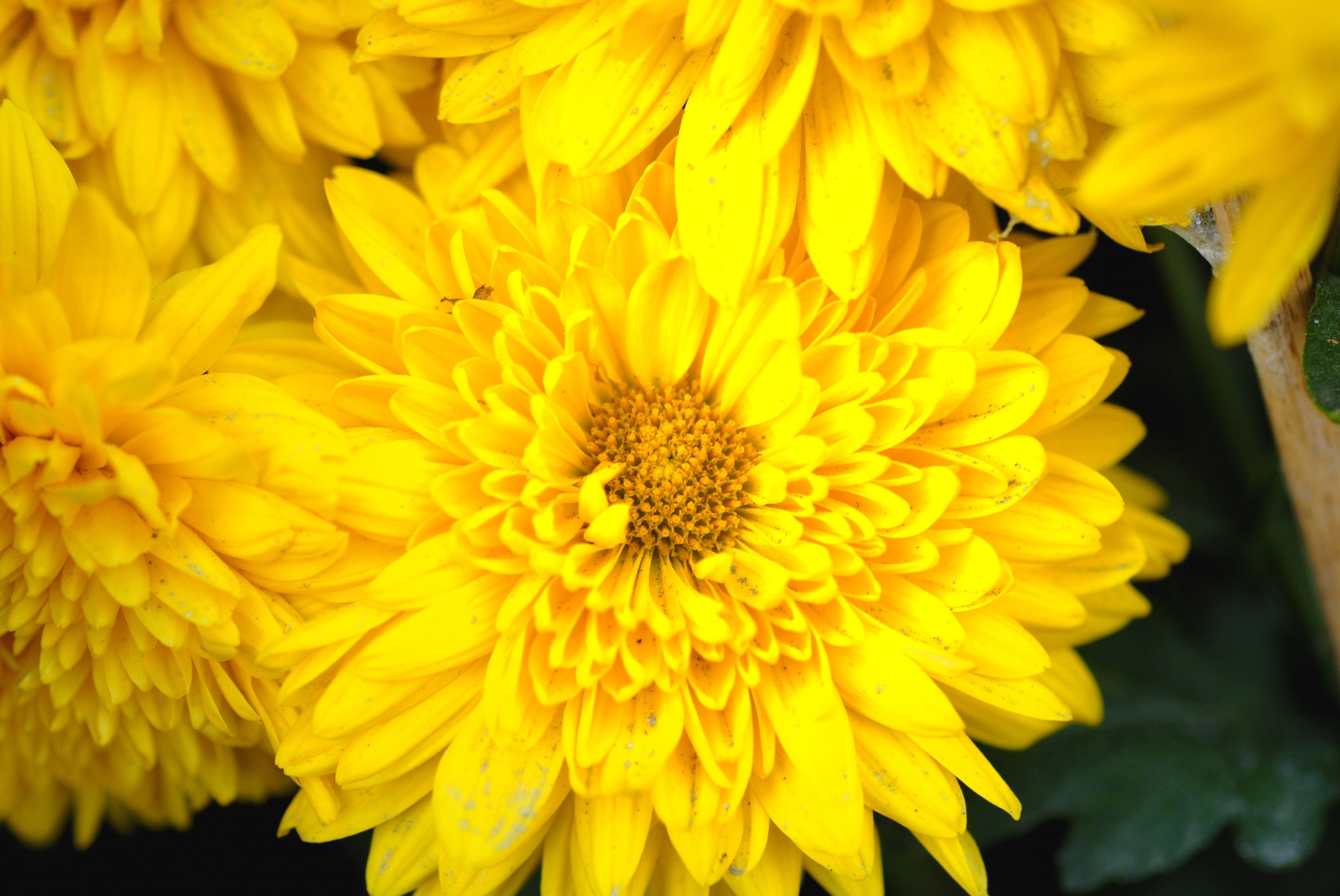 一定发(中国游)官方网站