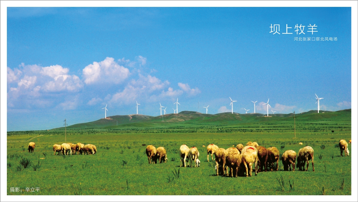 一定发(中国游)官方网站