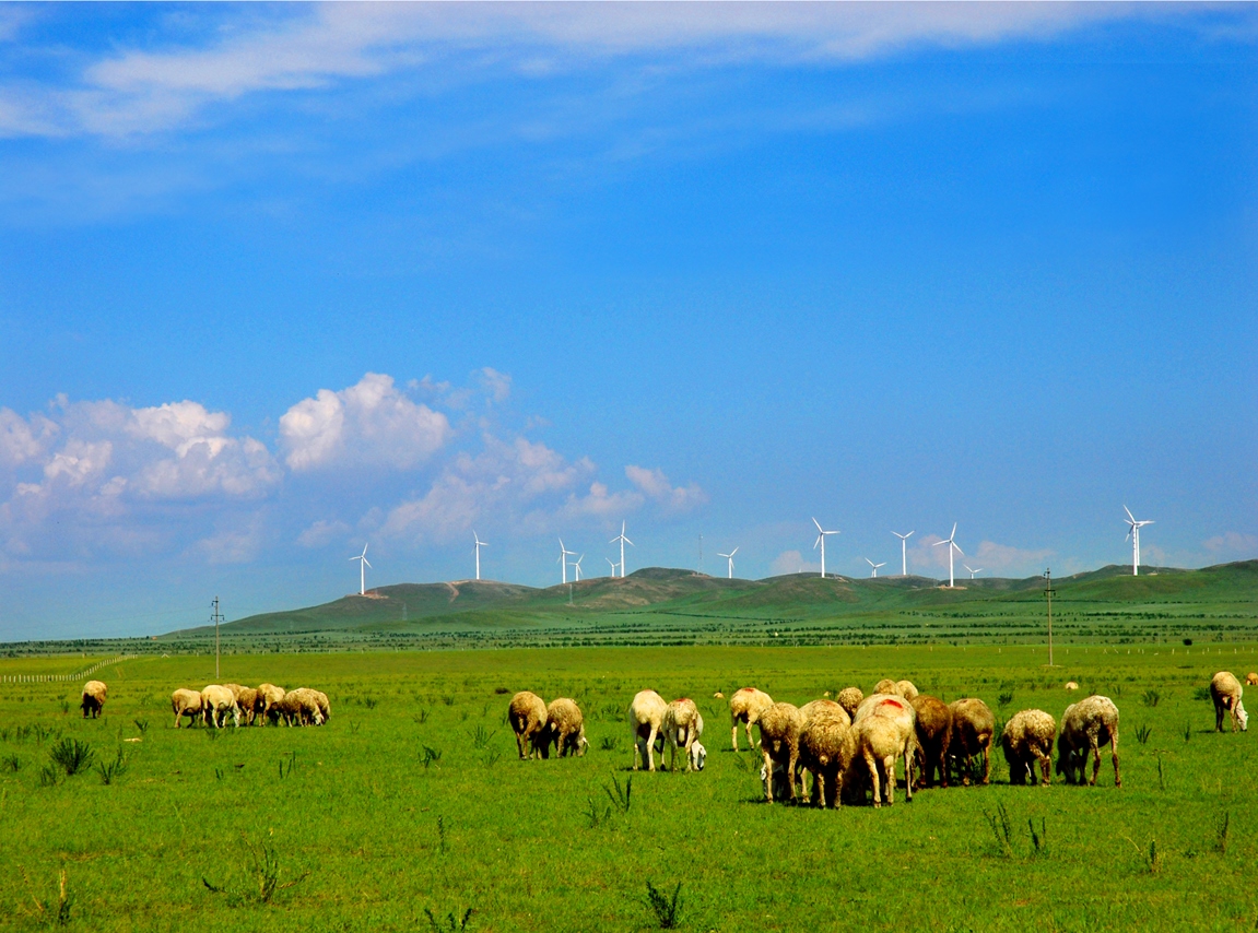 一定发(中国游)官方网站