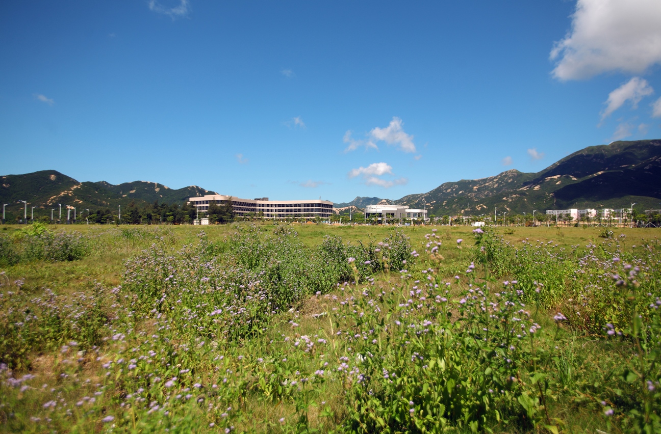 一定发(中国游)官方网站