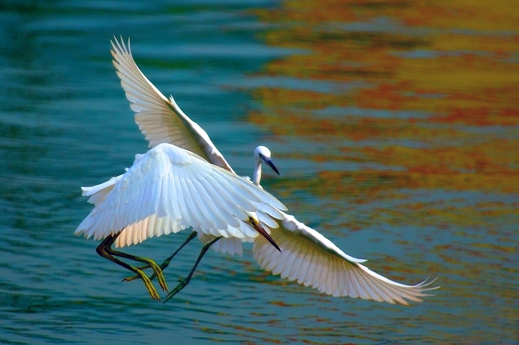 一定发(中国游)官方网站