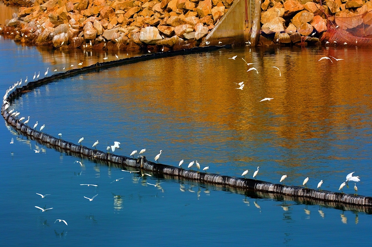 一定发(中国游)官方网站