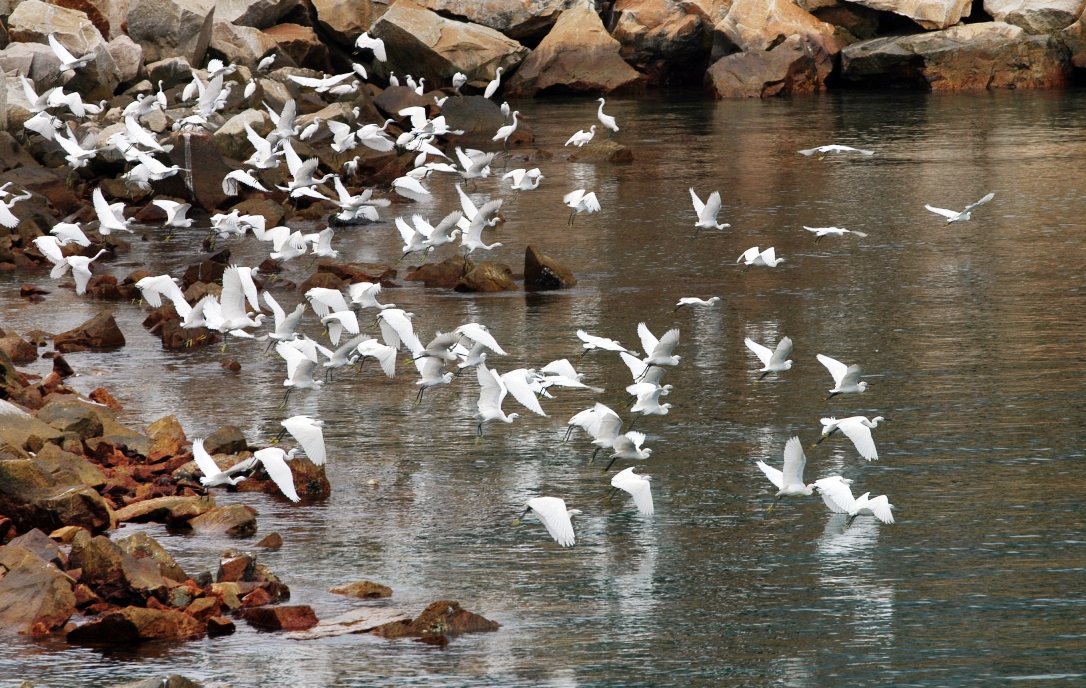 一定发(中国游)官方网站