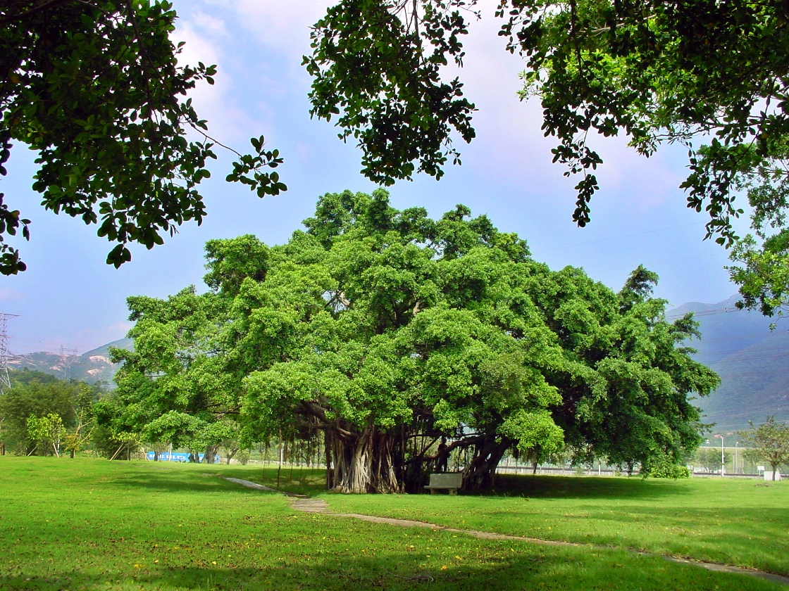 一定发(中国游)官方网站