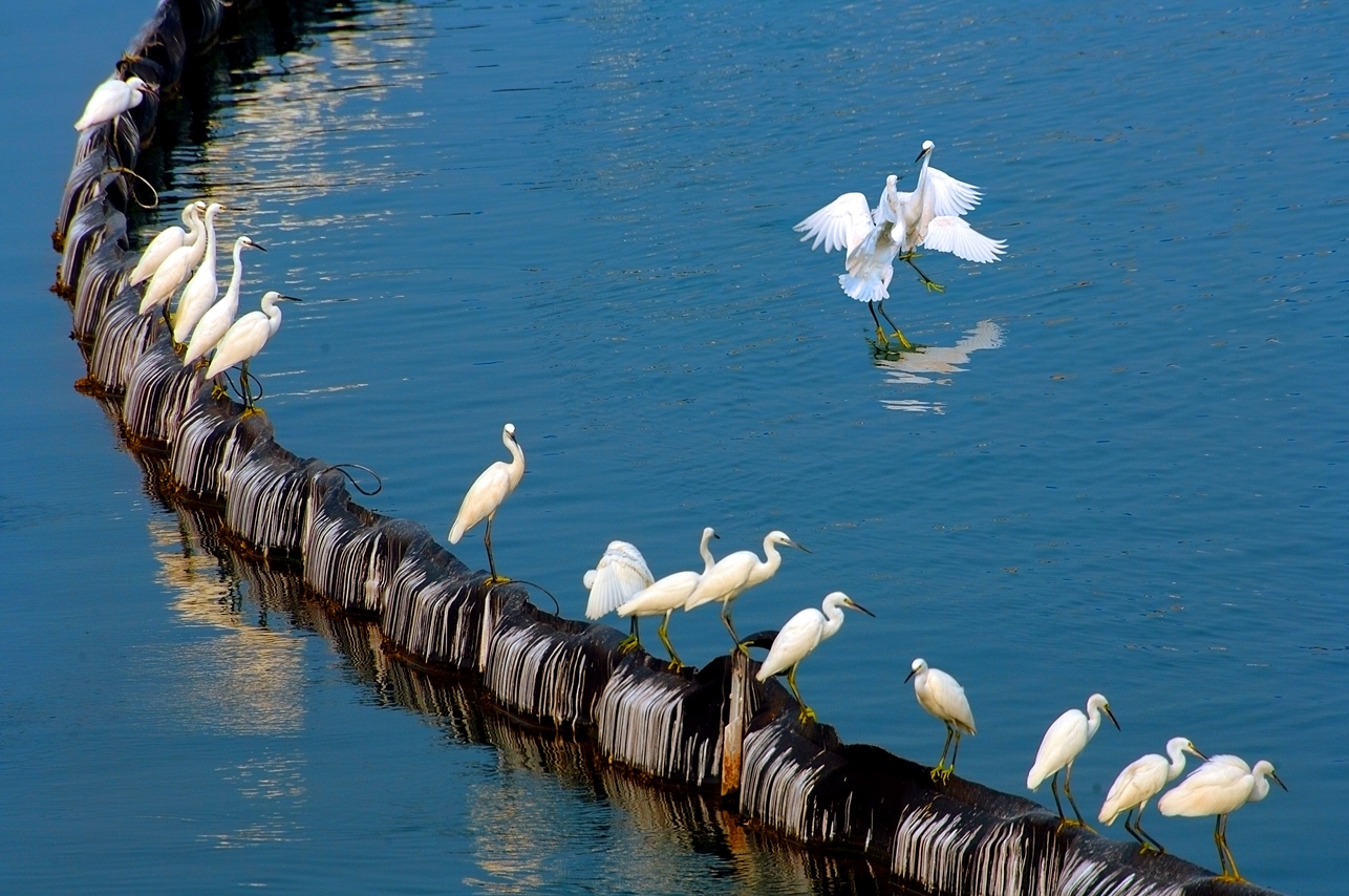 一定发(中国游)官方网站