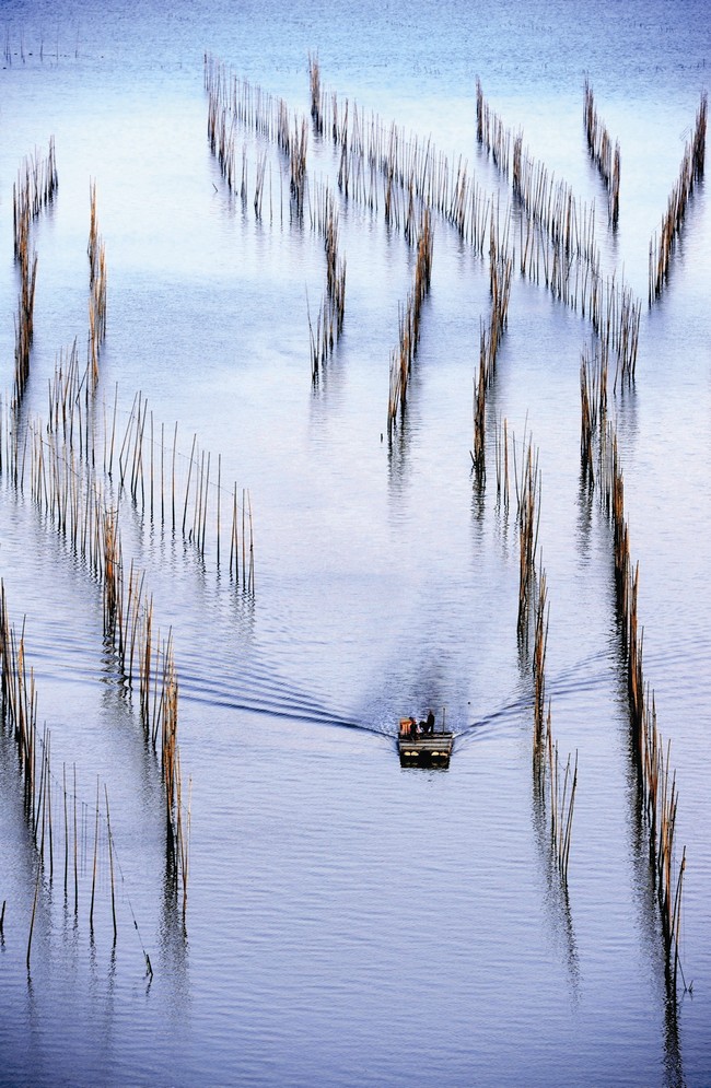 一定发(中国游)官方网站