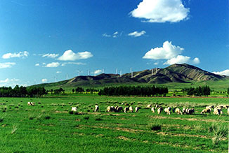 一定发(中国游)官方网站