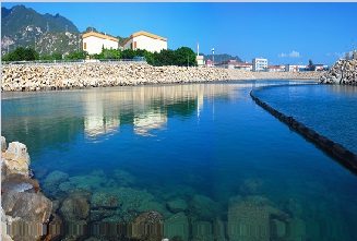 一定发(中国游)官方网站